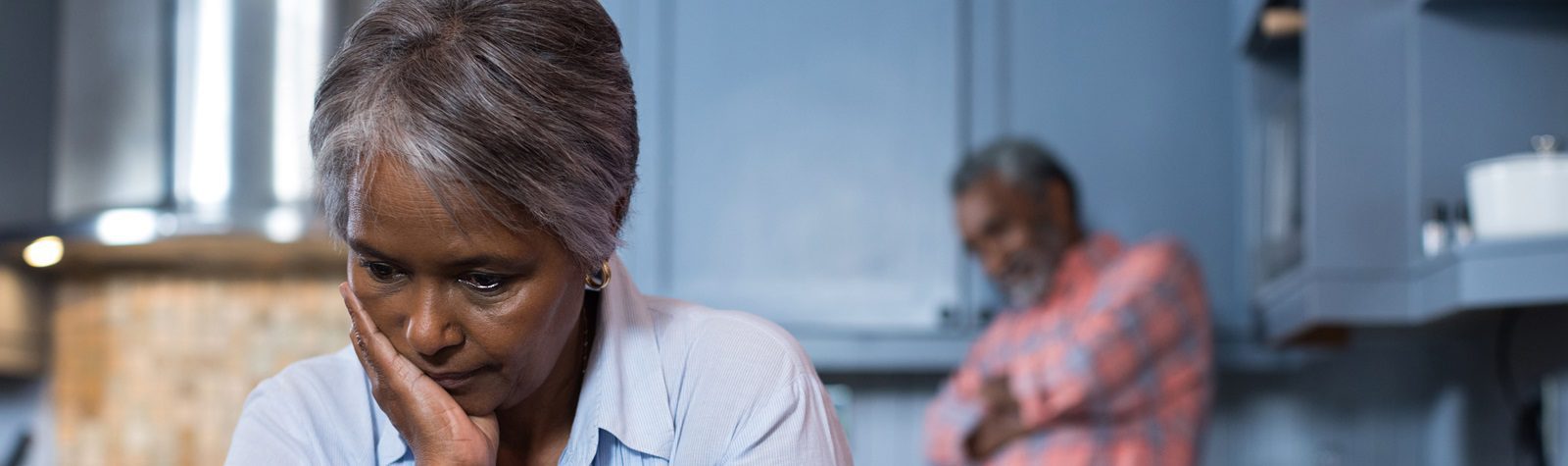 MDW April 2025 1600 x 475