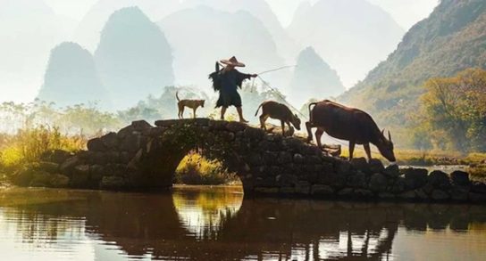 China 4 Oct 25