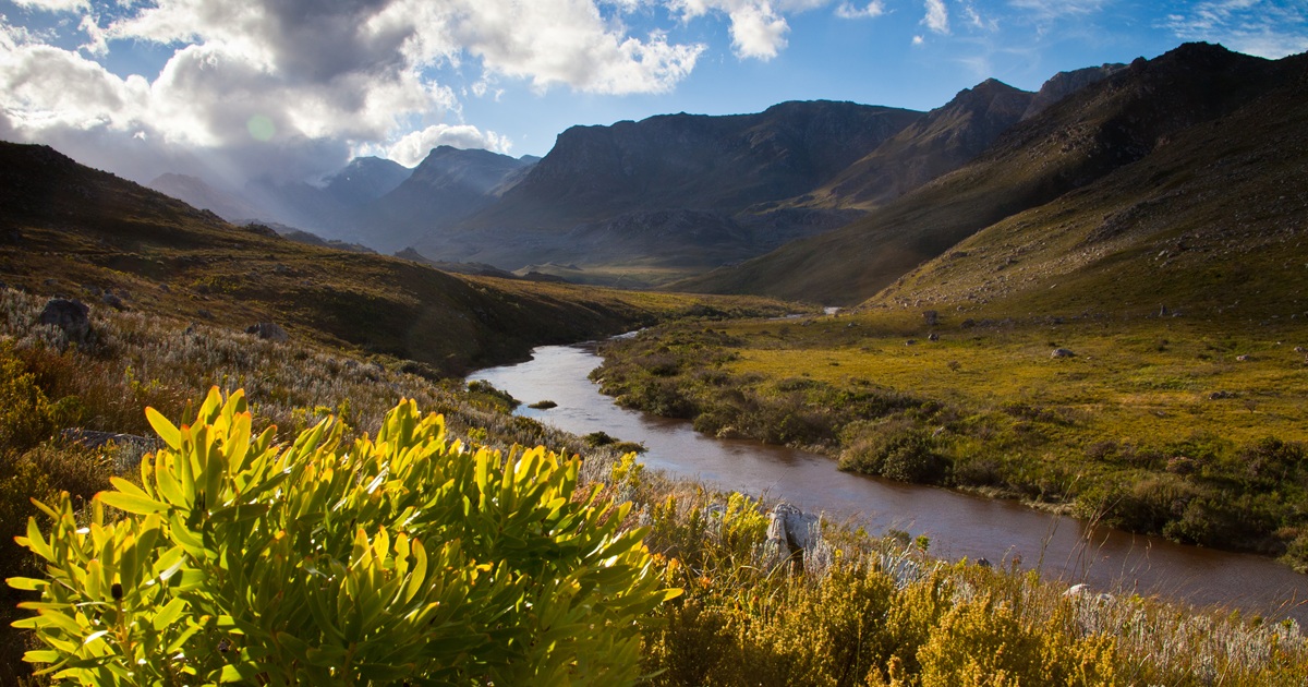Kogelberg Nature Reserve
