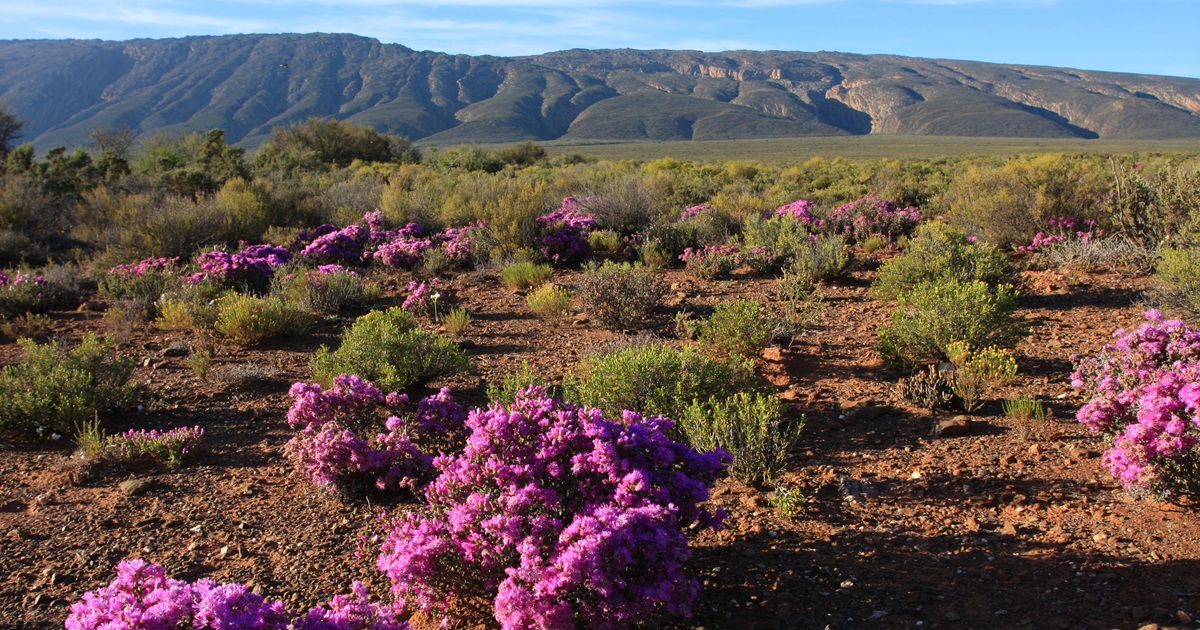 Anysberg Nature Reserve